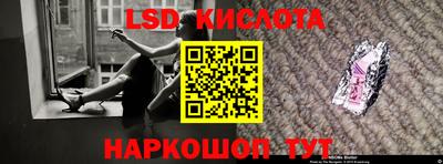 прущие грибы Можайск