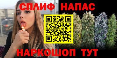 прущие грибы Можайск