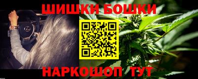 прущие грибы Можайск
