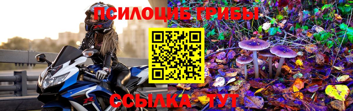 Краснотурьинск  Псилоцибиновые грибы Magic Shrooms  Вход с VPN 